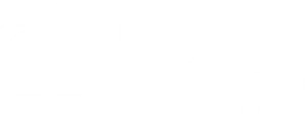 UV Palm Logo